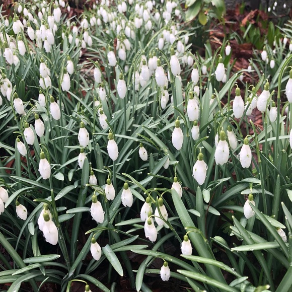 Meet your Posher, RE - Picture 1 of 1